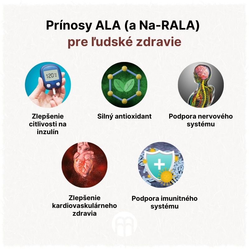 (Slovenčina) Přínosy ALA (a Na-RALA) pro lidské zdraví